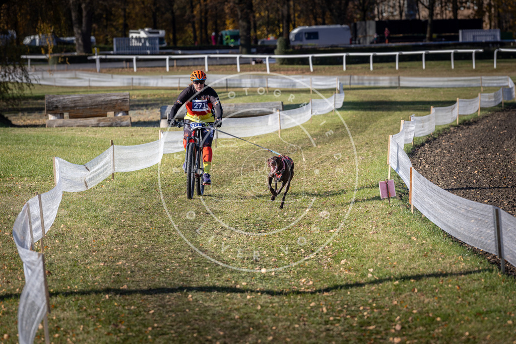 CaniXpix_DV3A5175 | Hundefotografie, Tierfotograf, Pfotenfotografie, Fotoshooting Hund, Hunde Portrait, Hundesport, Hundeportraits, Heideshooting, Hunde, Sportfotograf, Hundefotograf, Turnierhundsport, THS,  - Realisiert mit Pictrs.com