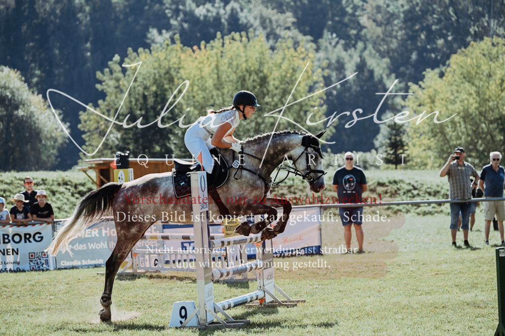 DSC_5528 | Pferde- und Turnierfotografie in Westsachsen. Pferdeportraits, Auftragszeichnungen und intuitive Kunst.
