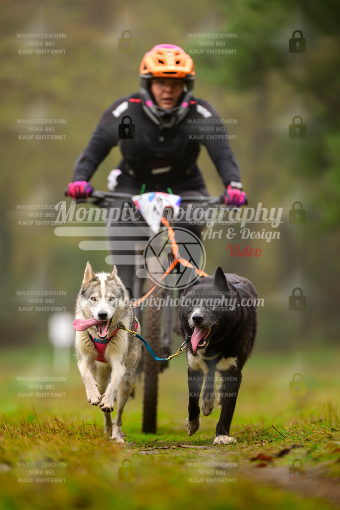 MompixPhotography_Bischwiller2025_Bike-143 | mompixphotography