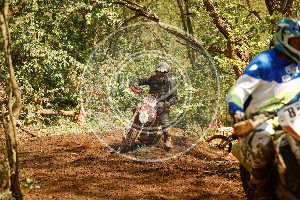 RottlebenIGE25_Lauf2-227 | koppe-media