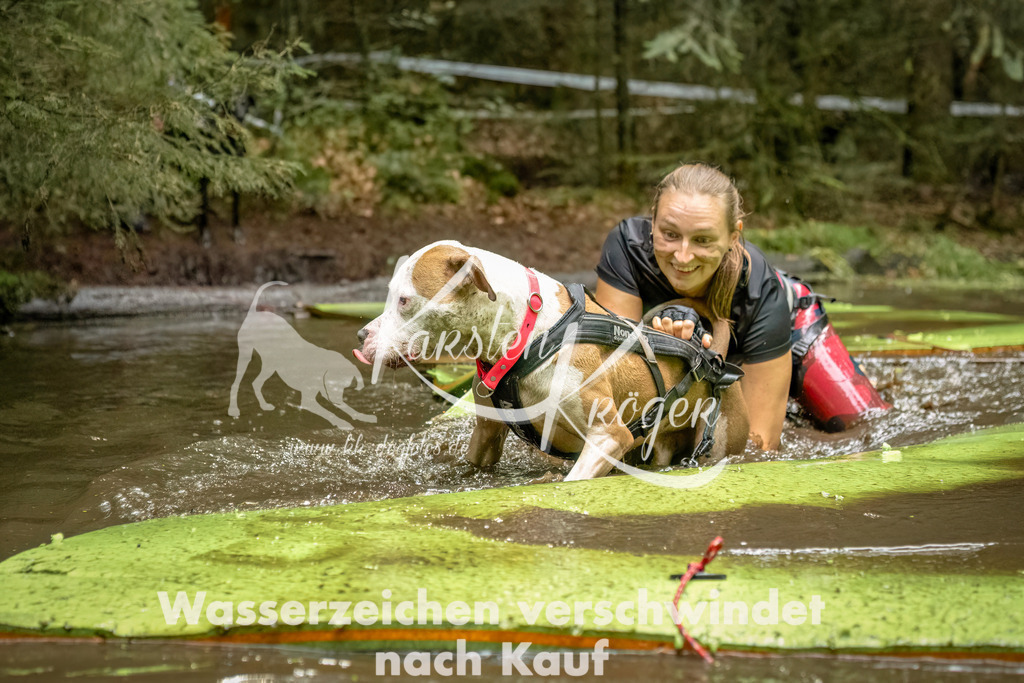 1452_ZZ94075-Bearbeitet | kk-dogfotos
