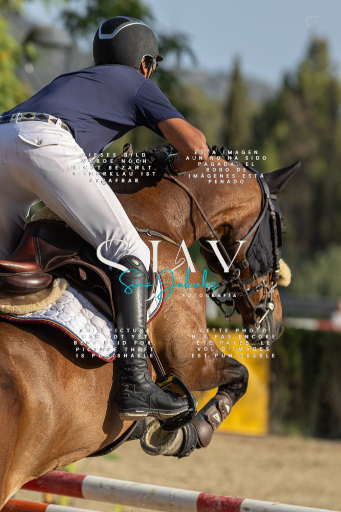 IMG_9344 | s-jay-photography - Realisiert mit Pictrs.com