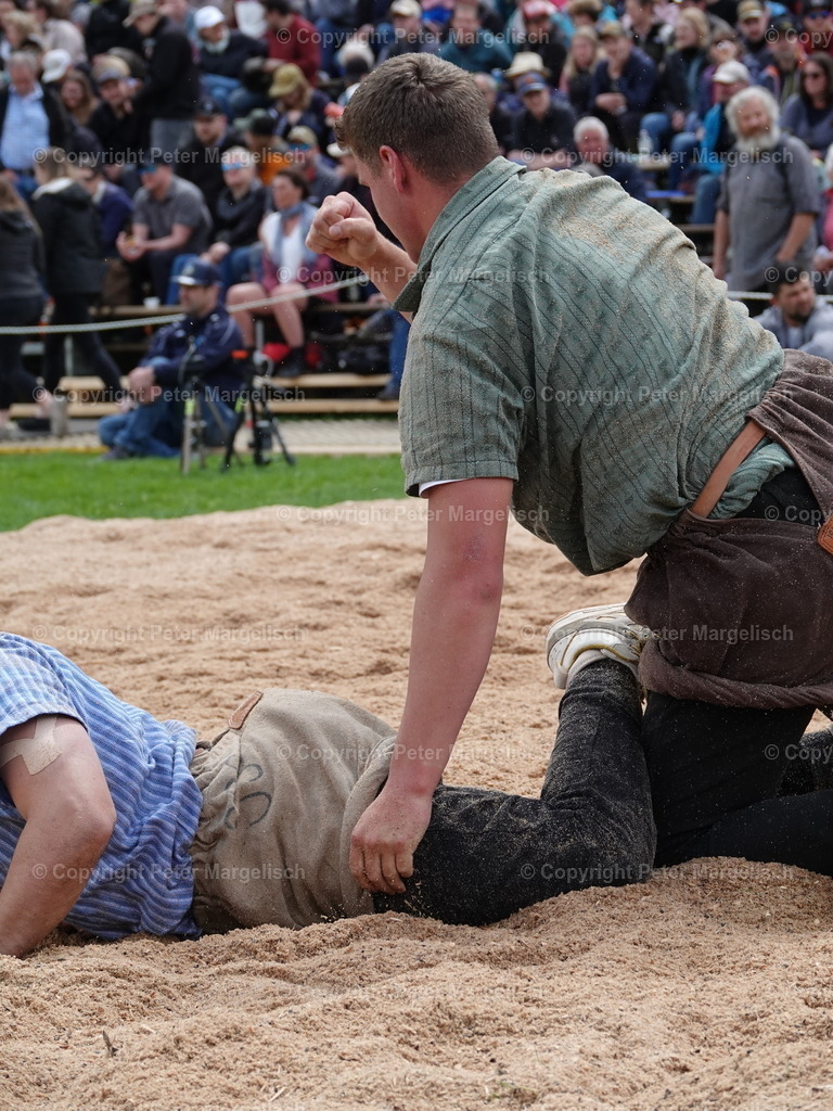 DSC07180 | Schwingen - Realisiert mit Pictrs.com