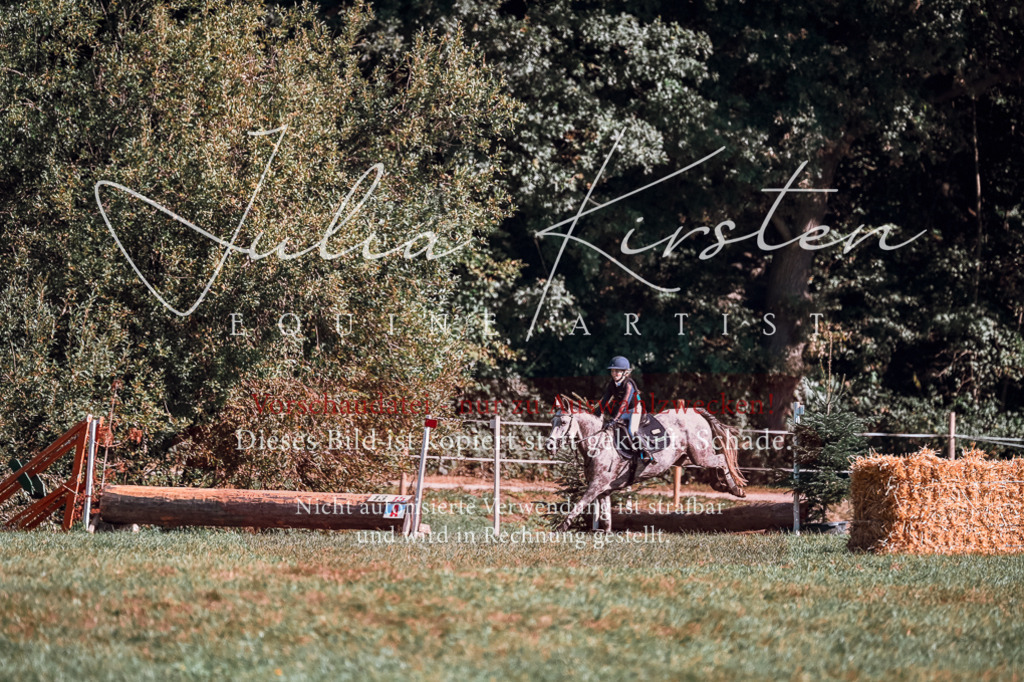 DSC_1161 | Pferde- und Turnierfotografie in Westsachsen. Pferdeportraits, Auftragszeichnungen und intuitive Kunst.