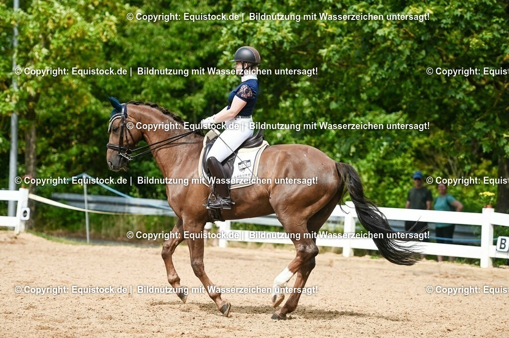 20230716_01_Dressurprüfung Kl.M_0369 | equistock