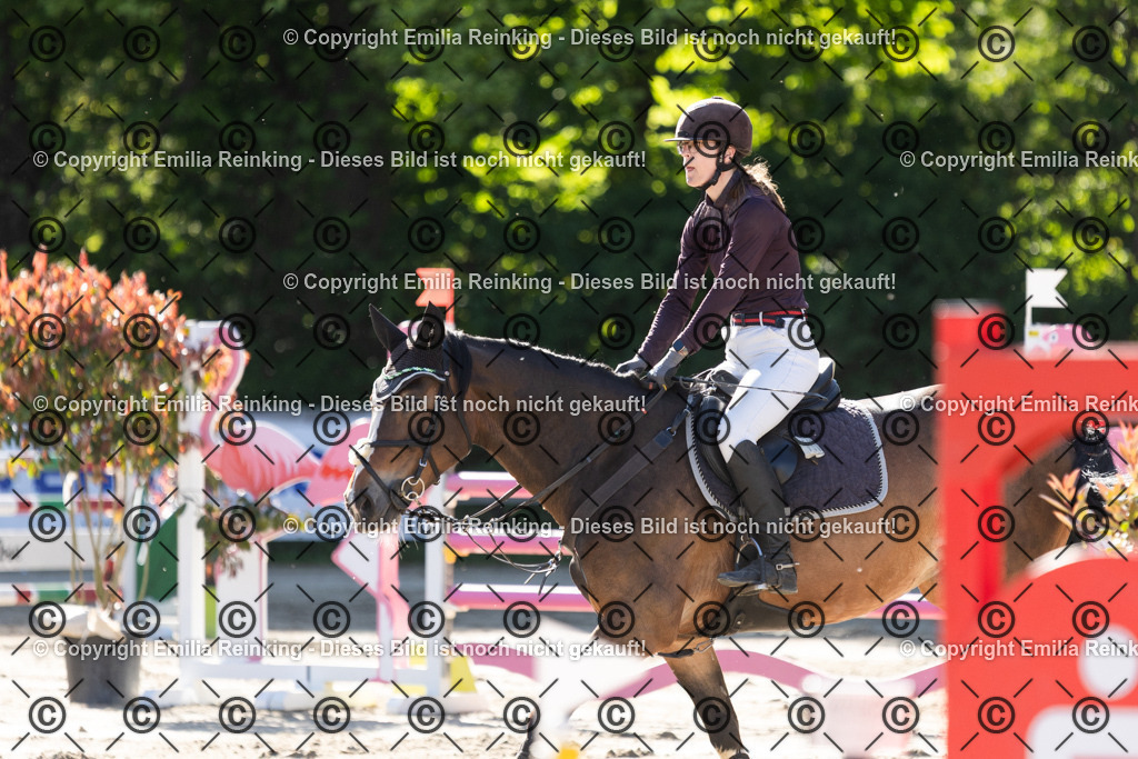 CL5A3411 | Emilia Reinking Fotografie - Realisiert mit Pictrs.com