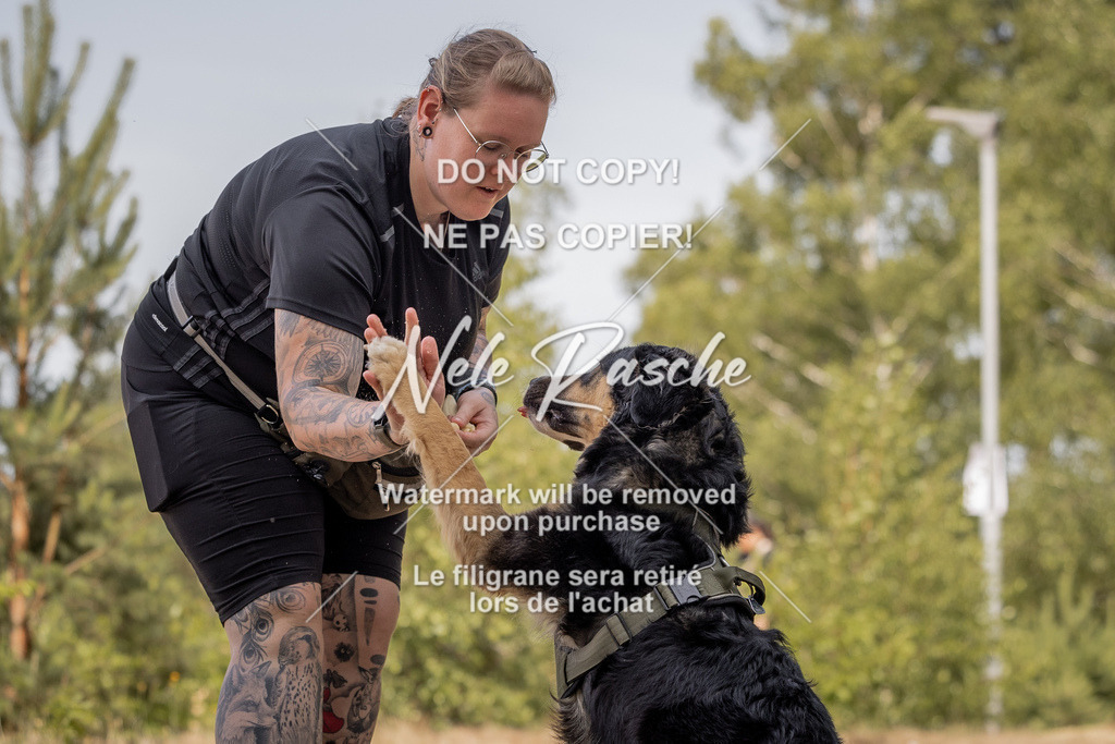 nelerasche_soDD2_253 | nelerasche