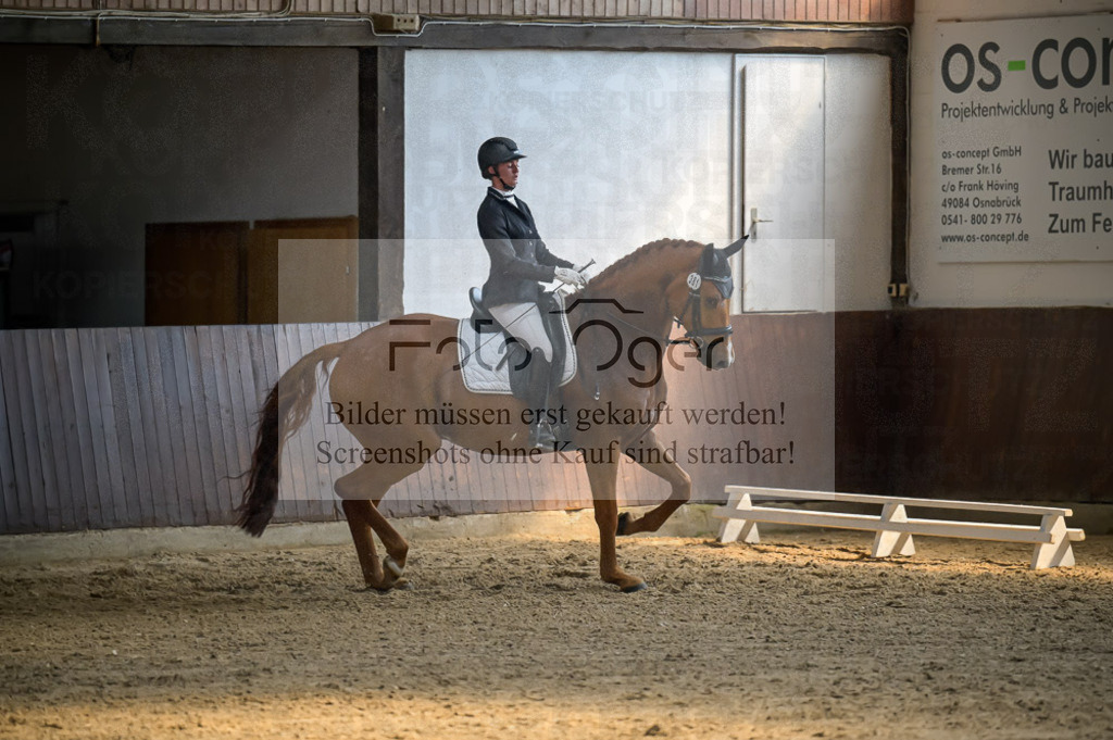 Reitturnier Voxtrup | Entdecke hochwertige Reitturnierfotos von Foto Oger. Professionell, emotional und authentisch – jetzt Lieblingsmomente im Shop bestellen.Deutschlandweite Turnierfotografie. - Realisiert mit Pictrs.com
