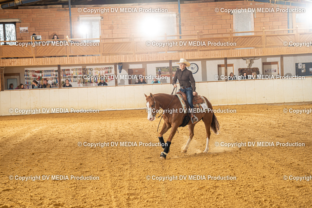 MIT00649 | dv-media-shop - Realisiert mit Pictrs.com