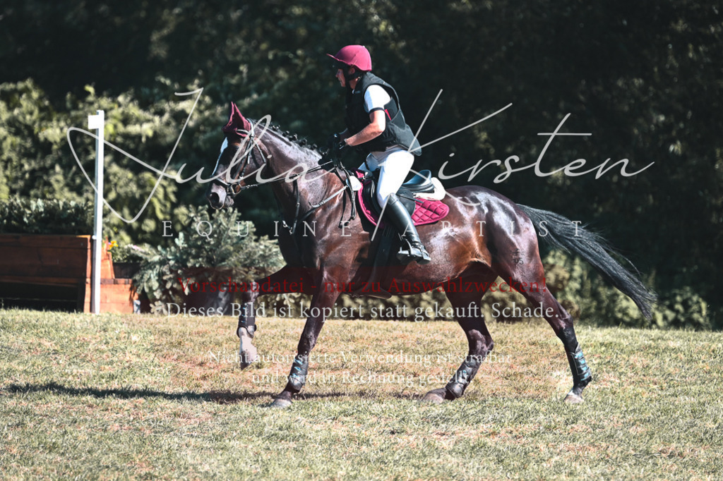 DSC_8549 | Pferde- und Turnierfotografie in Westsachsen. Pferdeportraits, Auftragszeichnungen und intuitive Kunst.