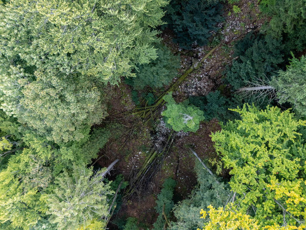 ZD250916101731-2-HDR | default