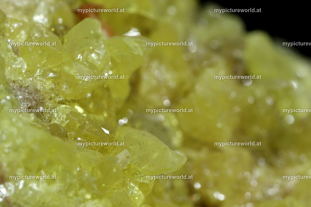 Schwefel-002 | Das Bilderarchiv über Tiere, Planzen und Landschaften. In der Bilddatenbank finden Sie ein große Auswahl an hochwertigen Bilder für Ihre Werbung - Realisiert mit Pictrs.com