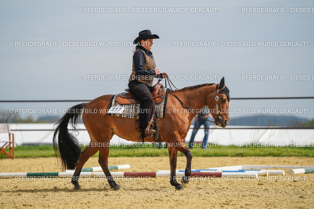 DSC04014 | Pferdegrafie