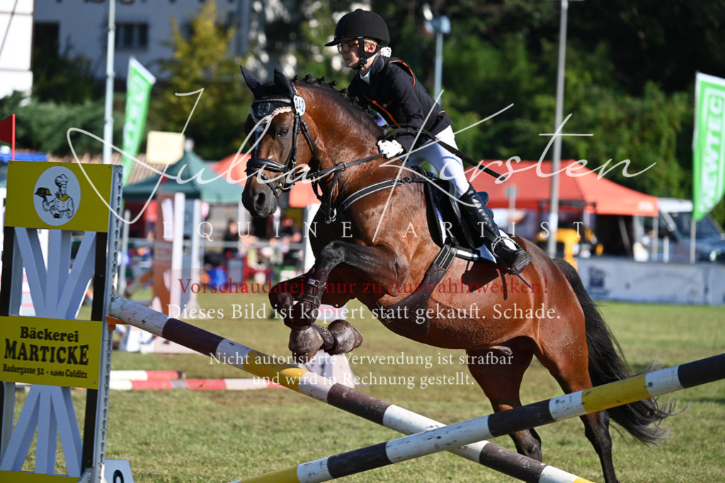 DSC_4758 | Pferde- und Turnierfotografie in Westsachsen. Pferdeportraits, Auftragszeichnungen und intuitive Kunst.