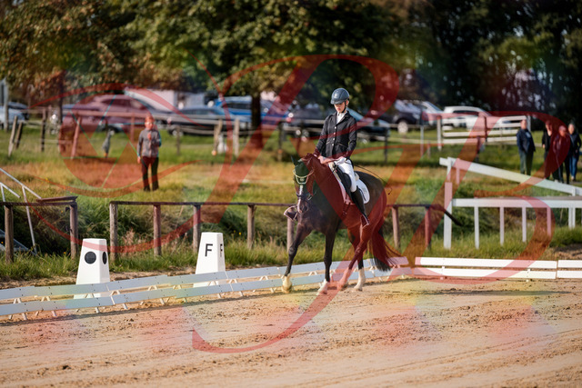 2026_10_03_Siefer-Hof_113247_Z63_19134169 | Professionelle Reitsport-, Turnier- und Eventfotografie von Robert Broda. Galerien mit ausgewählten und bearbeiteten Bildern direkt online ansehen und bestellen.