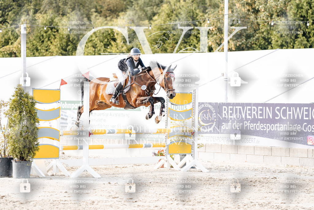 CK906865 | Turnierfotografie Pferdefotografie Trier Rheinland-Pfalz Pferdesport Reitsport Tierfotografie Sportfotografie Pferdevideo Pferdevideografie Equestrianvideography equestrianphotography  - Realisiert mit Pictrs.com