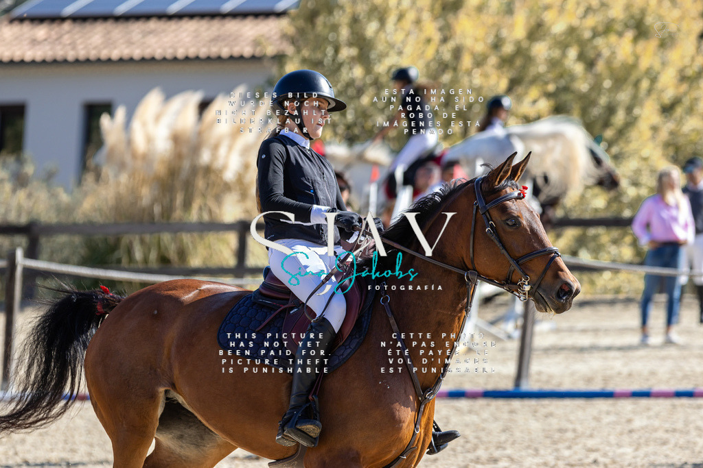 IMG_6424 | s-jay-photography - Realisiert mit Pictrs.com