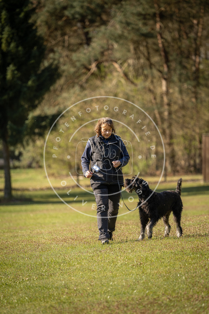 Pfotenfotografie_DV3A0070 | Hundefotografie, Tierfotograf, Pfotenfotografie, Fotoshooting Hund, Hunde Portrait, Hundesport, Hundeportraits, Heideshooting, Hunde, Sportfotograf, Hundefotograf, Turnierhundsport, THS,  - Realisiert mit Pictrs.com