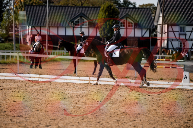 2026_10_03_Siefer-Hof_132400_Z63_86430899 | Professionelle Reitsport-, Turnier- und Eventfotografie von Robert Broda. Galerien mit ausgewählten und bearbeiteten Bildern direkt online ansehen und bestellen.