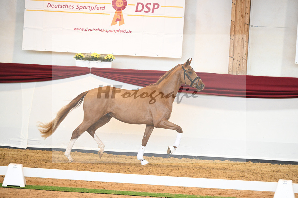 Kat-Nr. 56 v. Vivaldos_Fischer_66220847 | hf-fotografie - Realisiert mit Pictrs.com