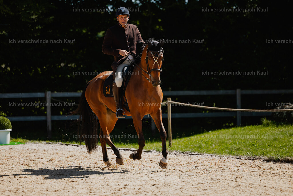 Gernot25_FHC2025-26985 | working equitationturnier fotograf videograf stoibphotography marixx film working equitation deutschland reitsport turnierfotografie eventfotografie equestrian events
