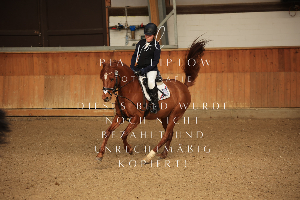 IMGT5441 | pl-fotografie