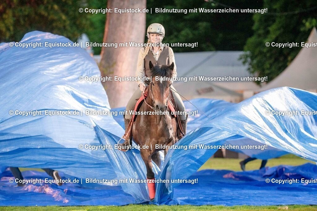 TS_20250606_Lange-Pferdenacht_1005 | Foto: Thomas Hartig