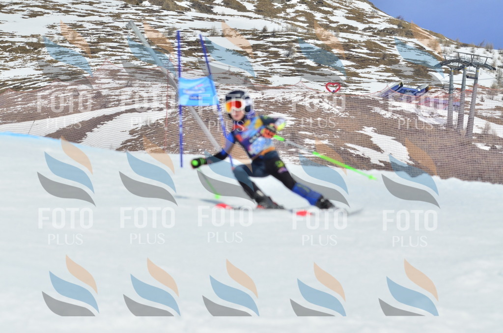 _ELE2124 | holidayphoto