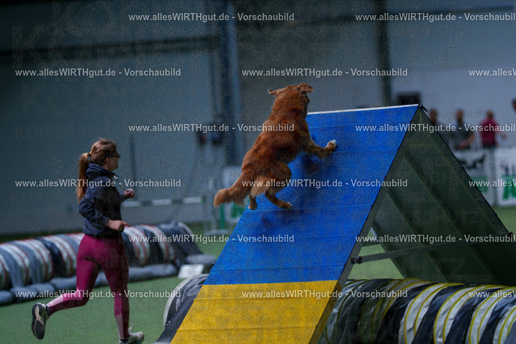 @allesWIRTHgut_Tierfotografie - www.allesWIRTHgut.de - 2604251222-7R501554 | Professionelle Tierfotografie in Mönchengladbach von Daniel Wirth (allesWIRTHgut). Liebevolle & natürliche Bilder von Hunden & Katzen für unvergessliche Erinnerungen.