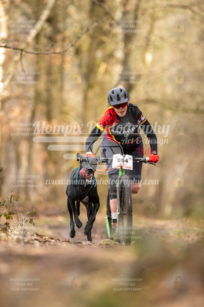 SPA_2023_SAM_Scooter-6 | PayLife