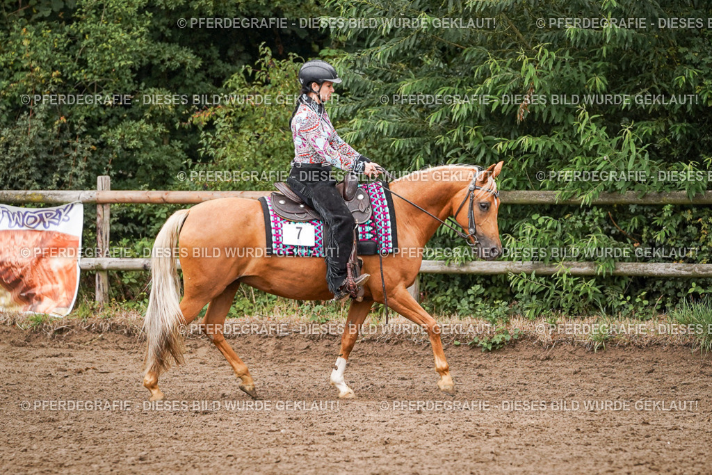 DSC05299 | Pferdegrafie