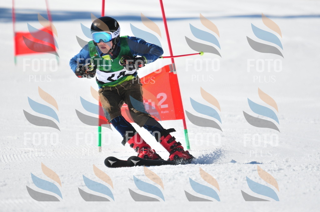 C3481 | holidayphoto