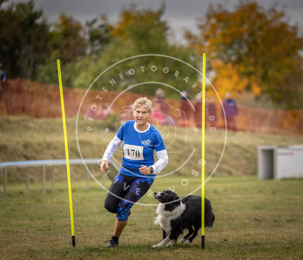 Pfotenfotografie_DV3A5871 | Hundefotografie, Tierfotograf, Pfotenfotografie, Fotoshooting Hund, Hunde Portrait, Hundesport, Hundeportraits, Heideshooting, Hunde, Sportfotograf, Hundefotograf, Turnierhundsport, THS,  - Realisiert mit Pictrs.com