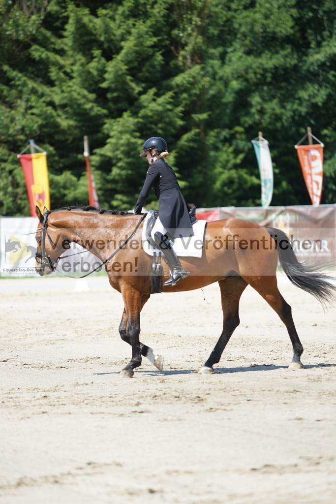 DSC03158 | equestrian-live-com