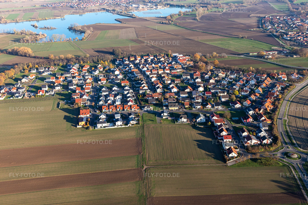 Luftbild: Ortsansicht im Ortsteil Hardtwald in Neupotz im Bundesland Rheinland-Pfalz in Deutschland. Foto: IMG_123965.jpg vom 21.11.2020 durch Werner Riehm/FLY-FOTO.de
