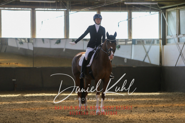 IMG_2729 | Turniersportfotografie; Pferdefotografie; Dressurfotografie