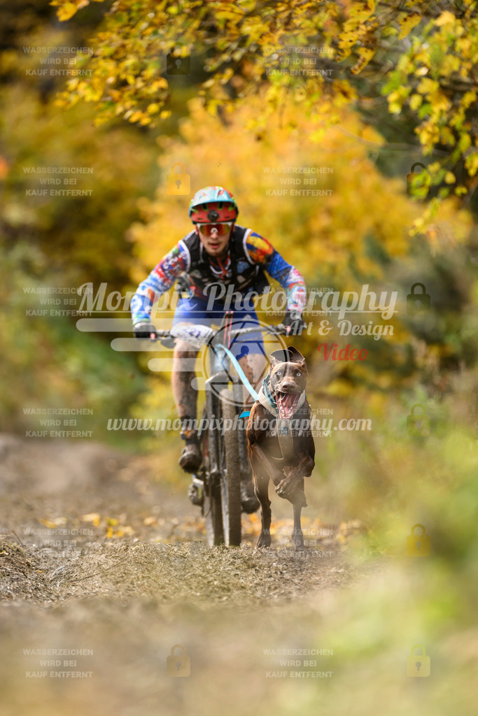 MompixPhotography_ICF_WC_2024_SA_Bike_-370 | PayLife