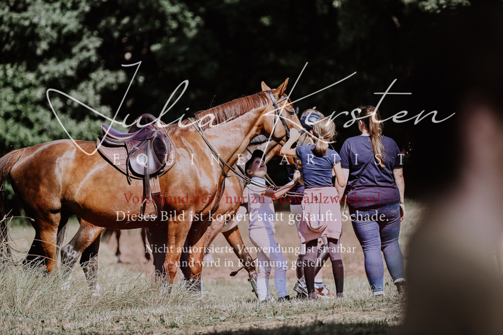 DSC_1811 | Pferde- und Turnierfotografie in Westsachsen. Pferdeportraits, Auftragszeichnungen und intuitive Kunst.