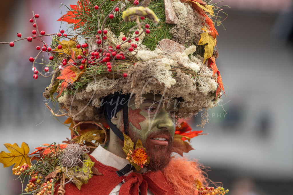 DSC02043 | Professioneller Fotograf - Bildbestellung online - Wandbilder vom Profi für ihr Zuhause, Büro, Praxis, Firma - große Auswahl an Materialien und Formaten, über 1400 regionale Motive