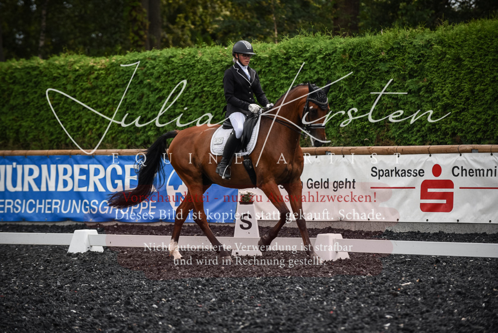 DSC_5000 | Pferde- und Turnierfotografie in Westsachsen. Pferdeportraits, Auftragszeichnungen und intuitive Kunst.