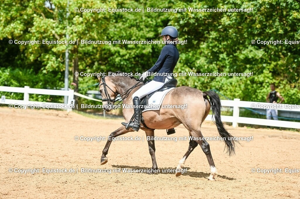 20230716_01_Dressurprüfung Kl.M_0205 | equistock