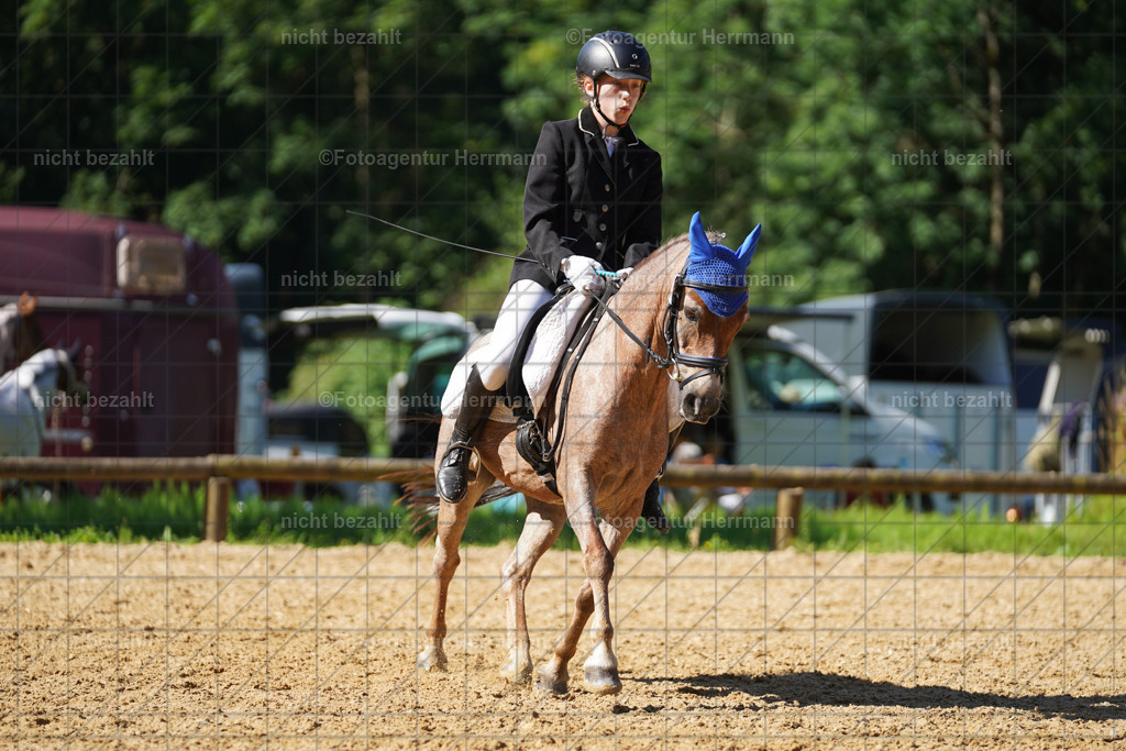 20240706-FAH04749 | Grafing Turnierfotos, Reitverein Ebersberg, Turnierfotografen Bayern, reitsportbilder, Pferdefotograf, reitsportfotograf, Sportbilder, Reitsportfotografie, Fotoagentur Herrmann, Turnierfotograf