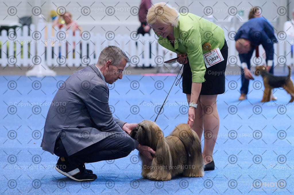 202406_ÖKV-IHA-Tulln24_DSC_4393 | proPHOTO - Realisiert mit Pictrs.com