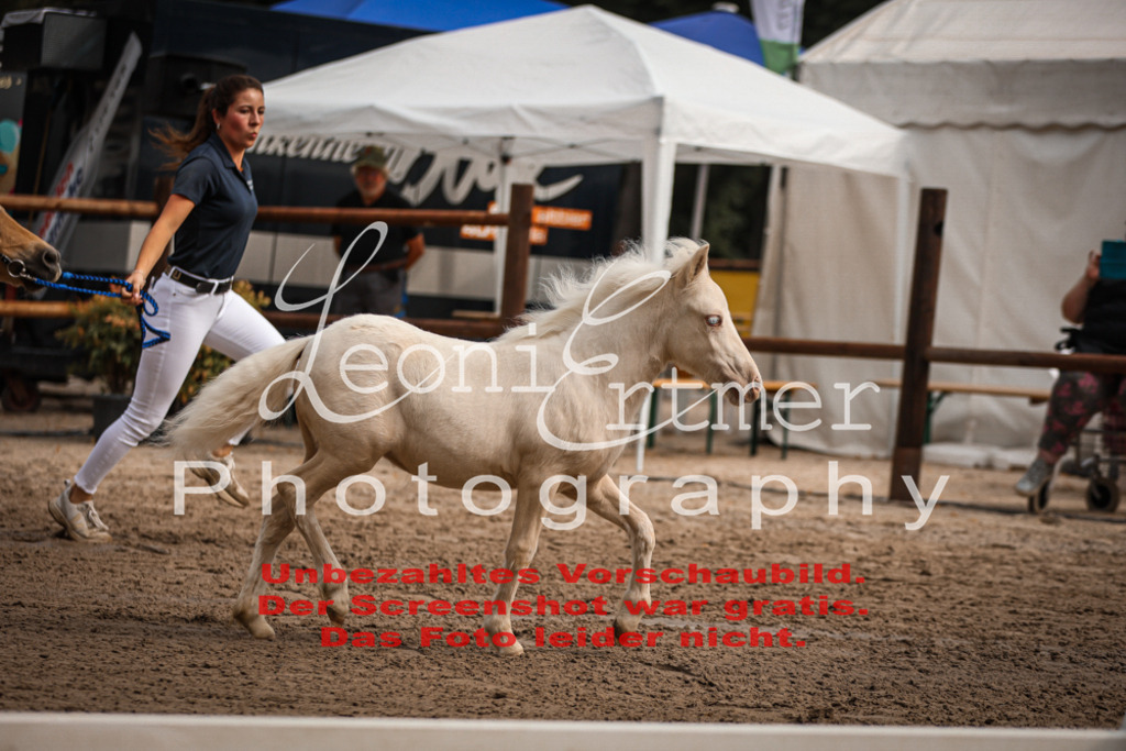 1.Fr00091 | Leoni Ertmer Photography - Realisiert mit Pictrs.com