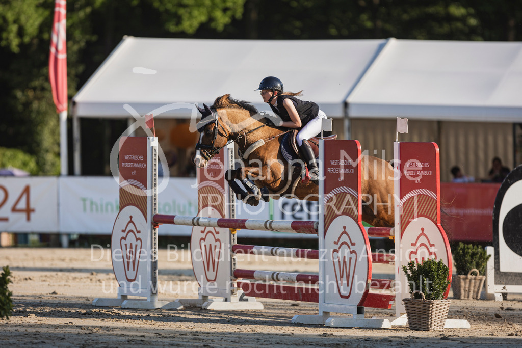 250501_MünsterHandorf_PonyTrophy-292 | Deine schönsten Turniermomente als professionelle Fotos! Entdecke hochwertige Pferdesport-Fotografie im Online-Shop. Jetzt Fotos finden & bestellen!