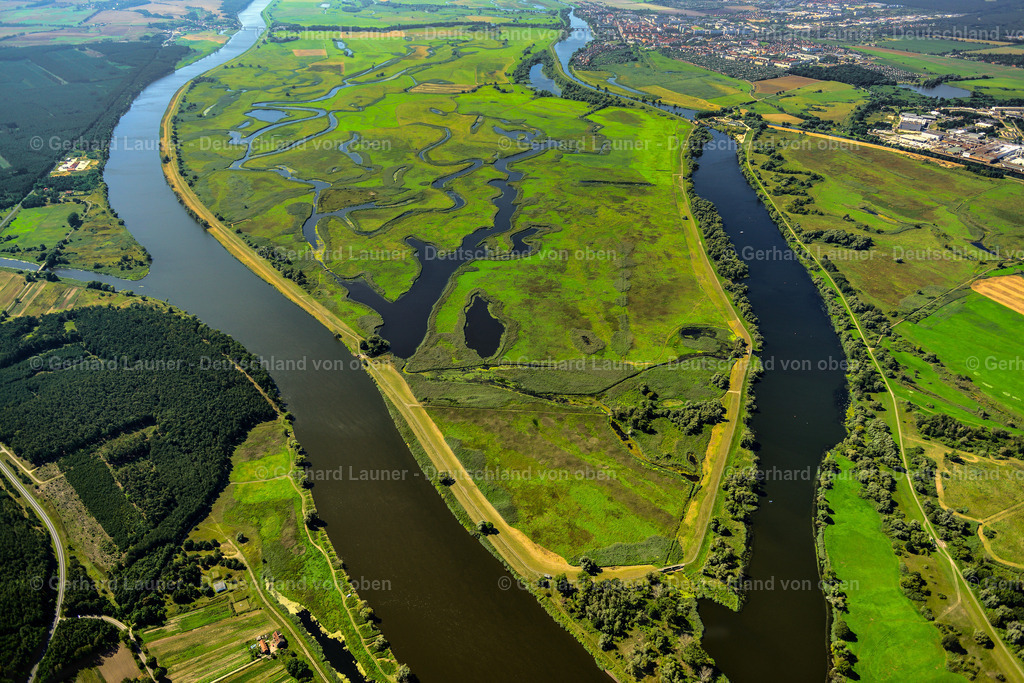 3637522 | Nationalpark Unteres Odertal  bei SCHWEDT/ODER 25.08.2016 Grasflächen- Strukturen einer Wiesen- und Feld Landschaft in der Auen- Niederung am Ufer des Flußverlaufes der Oder in Schwedt/Oder in der Uckermark im Bundesland Brandenburg, Deutschland // Grassland structures of a meadow and field landscape in the lowland on the banks of the river Oder in Schwedt/Oder in the Uckermark in the state Brandenburg, Germany Foto: Gerhard Launer