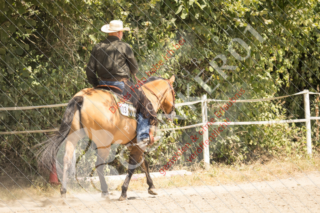 IMG_9362 | Sport-, Event- und Tierfotos in Profiqualität. Einfach auswählen, bestellen und herunterladen. Dein Moment – perfekt festgehalten.