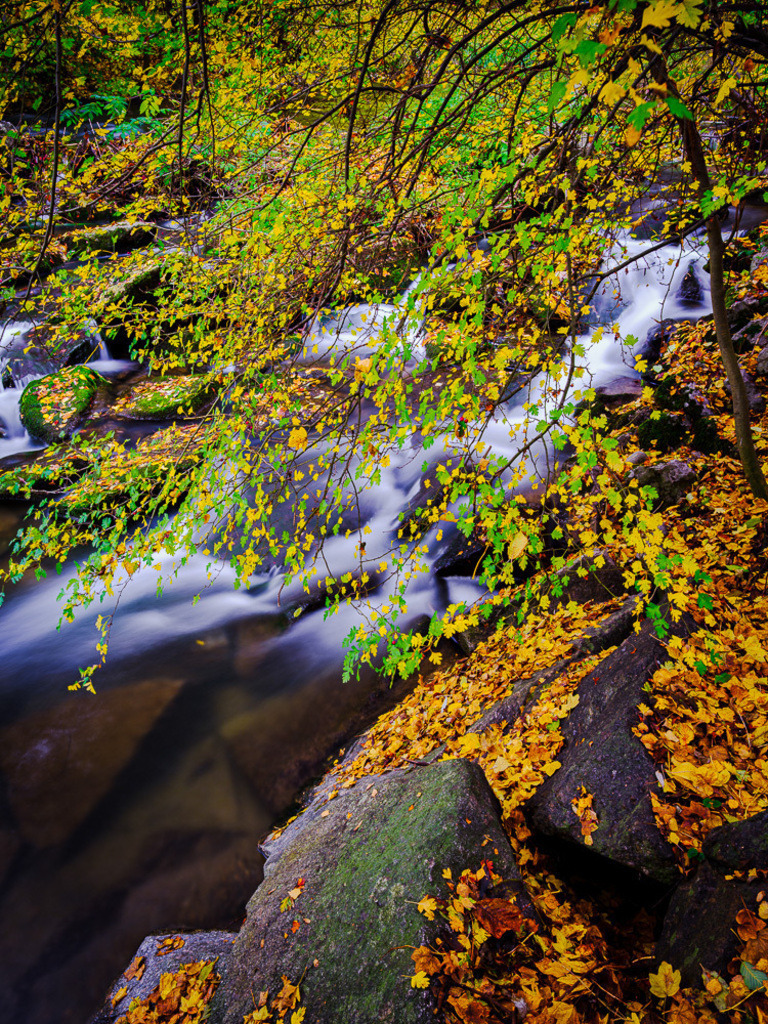 SilvanoPedrett_preview_Wasser-23 | silvanopedrett - Realisiert mit Pictrs.com