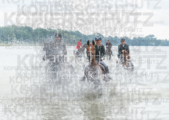 Jagd Perdoel 25-3704Marina Hewig_MarinaHewig | Fotografie, FotoArt, PferdesportArt, Pferdesportfotografie, Landschaftsfotografie, Reisefotografie, Reise, Pferde - Realisiert mit Pictrs.com