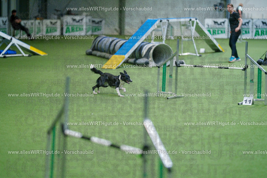 @allesWIRTHgut_Tierfotografie - www.allesWIRTHgut.de - 2604250830-7R506891 | Professionelle Tierfotografie in Mönchengladbach von Daniel Wirth (allesWIRTHgut). Liebevolle & natürliche Bilder von Hunden & Katzen für unvergessliche Erinnerungen.